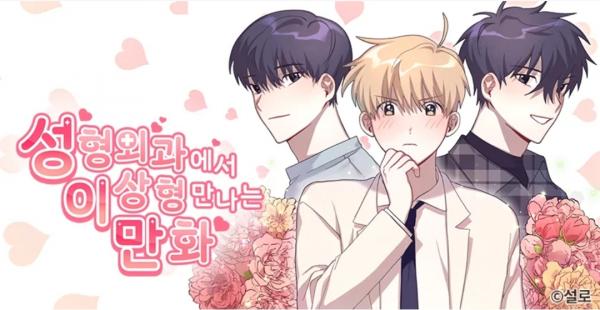 Meeting your Ideal Type at the Plastic Surgeon Manhwa