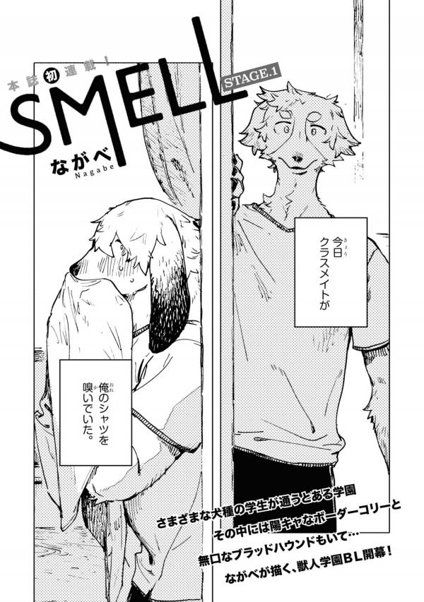 SMELL