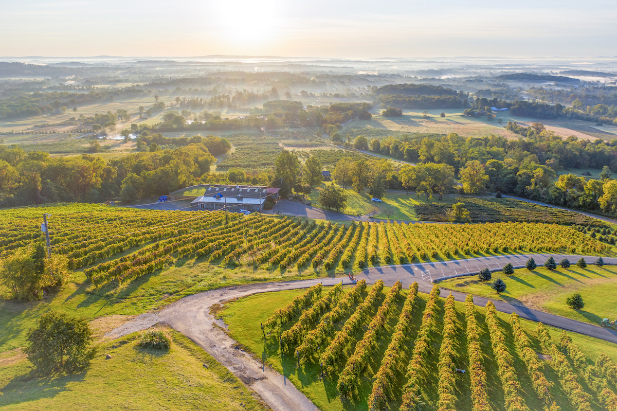 View of the rolling hills from Bluemont Vineyards in Loudoun County, Virginia