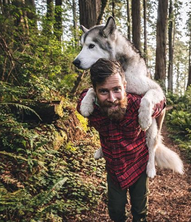 Loki the Wolfdog Craziest Pets