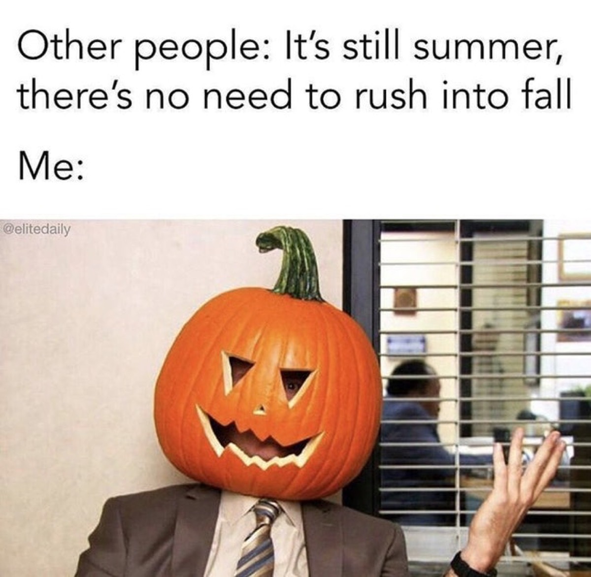 fall memes