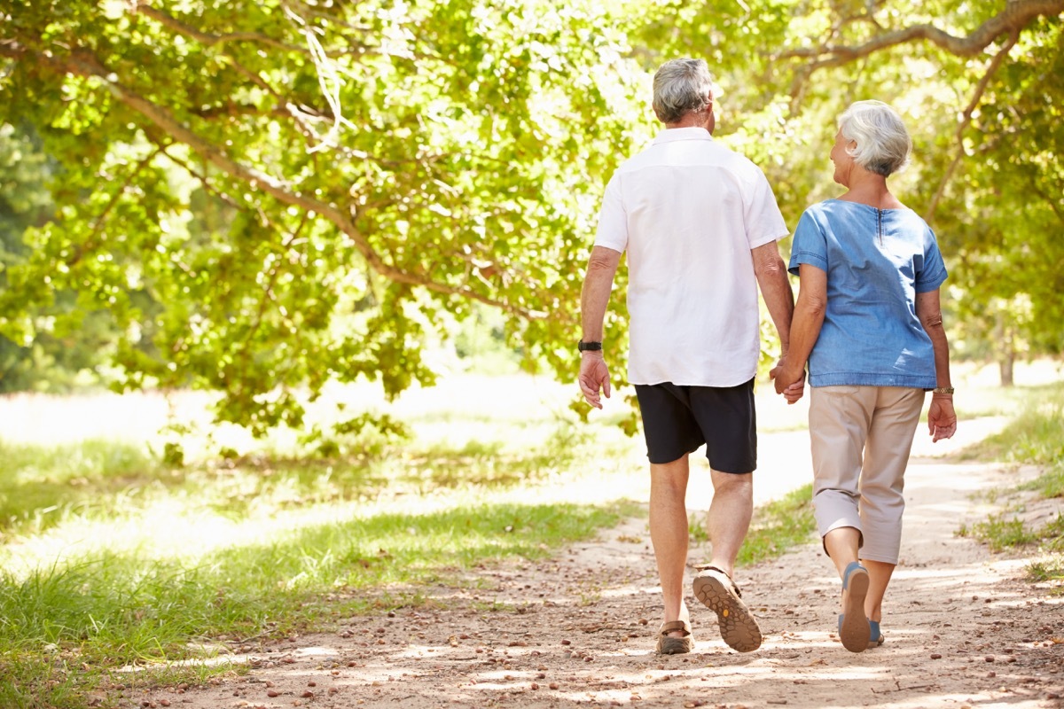 Senior couple walking together in the countryside, back view