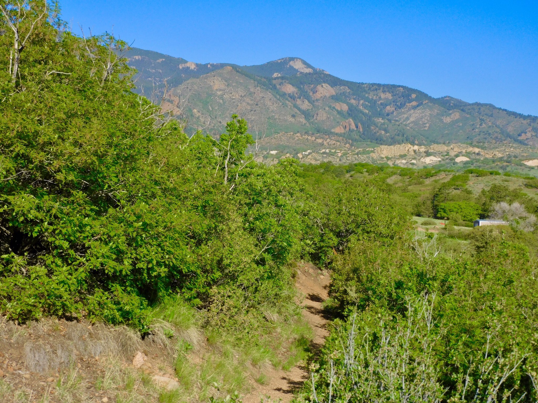 beer creek regional park in colorado springs