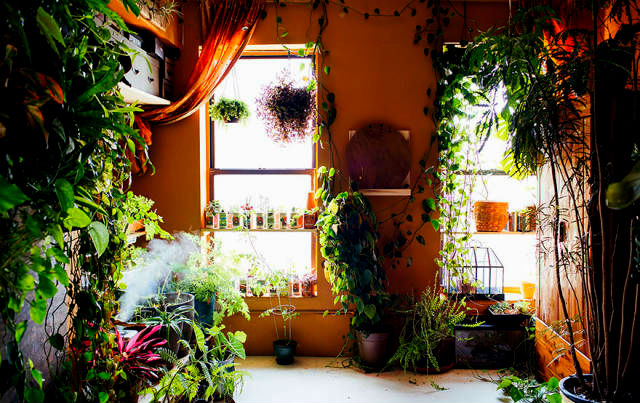 a-girl-with-a-green-thumb-500-plants-in-one-apartment-05