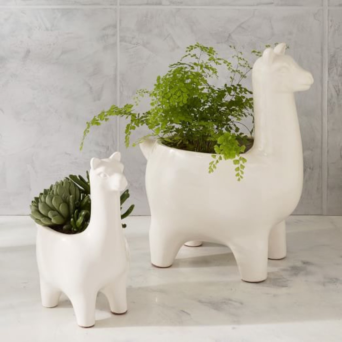 llama planters cheap home upgrades