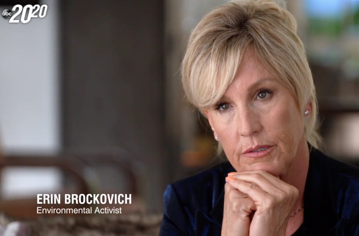 Erin Brockovich on the 