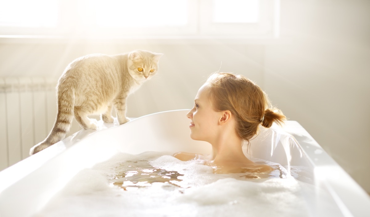 Cat by bathtub funny pet stories