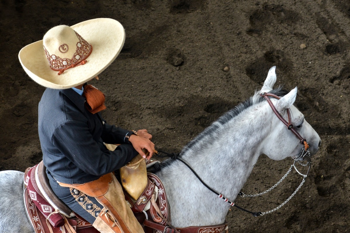 Mexican charros mariachis horses horseback sombrero Mexico traditions ruedo racing culture festival rural equine holiday traditional outfit outdoors outfitters mexicano vaqueros sombreros band rider