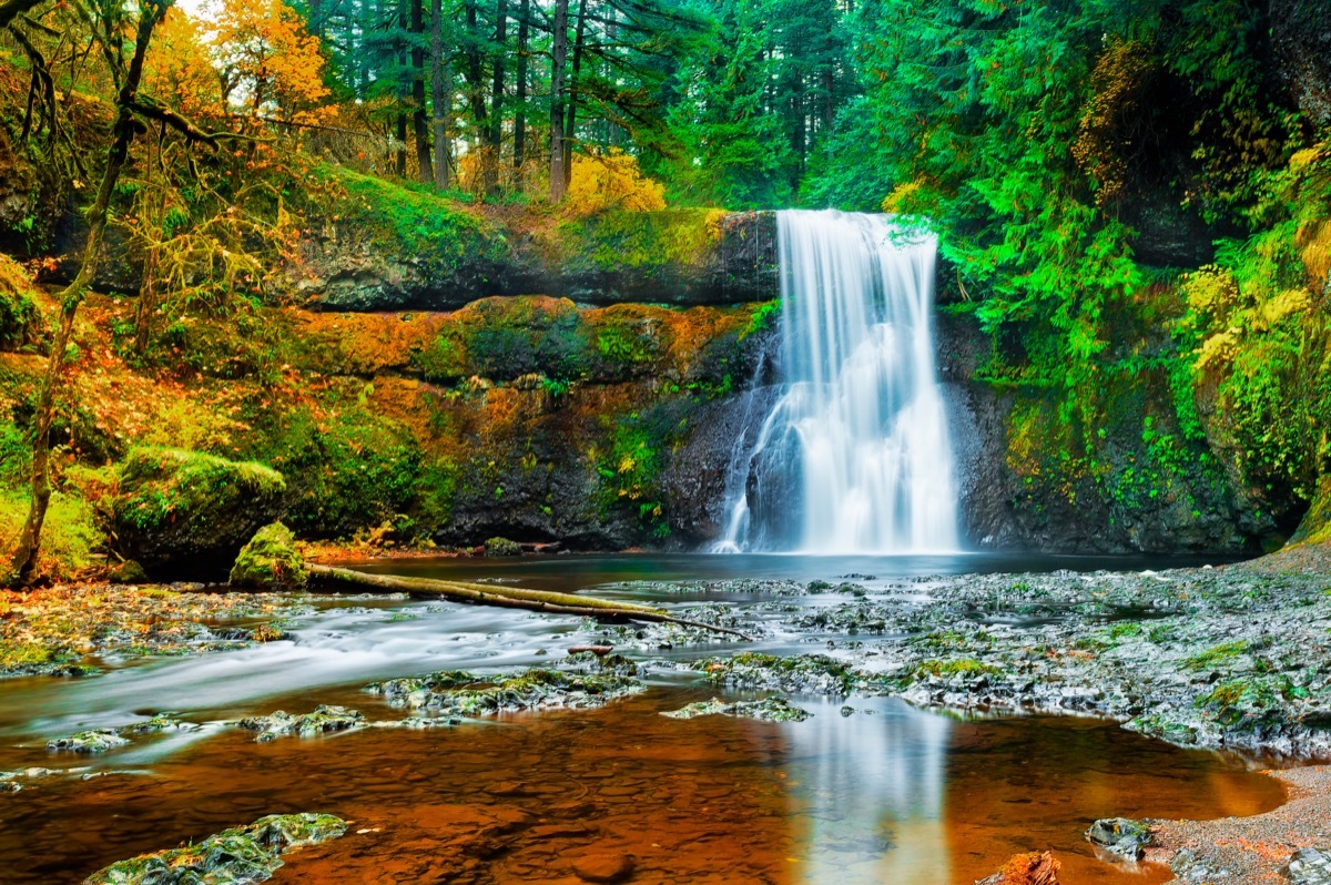 silver falls state park in oregon