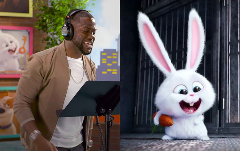 He was a voice-over for Snowball in Secret Life Of Pets franchise | 15 Kevin Hart Facts That Will Surprise You | Her Beauty