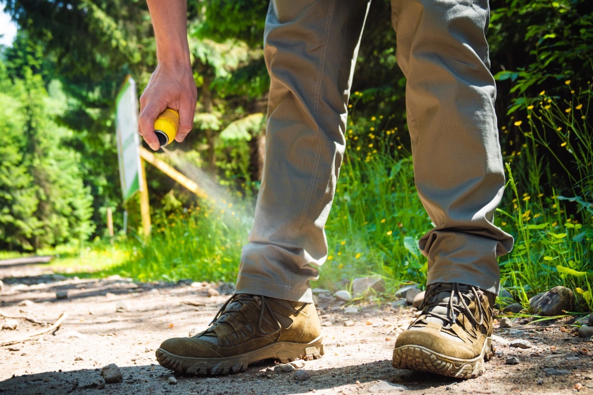 Man spraying for ticks