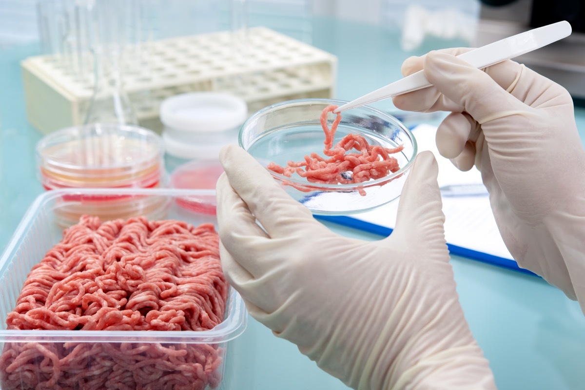 scientist in lab inspecting meat