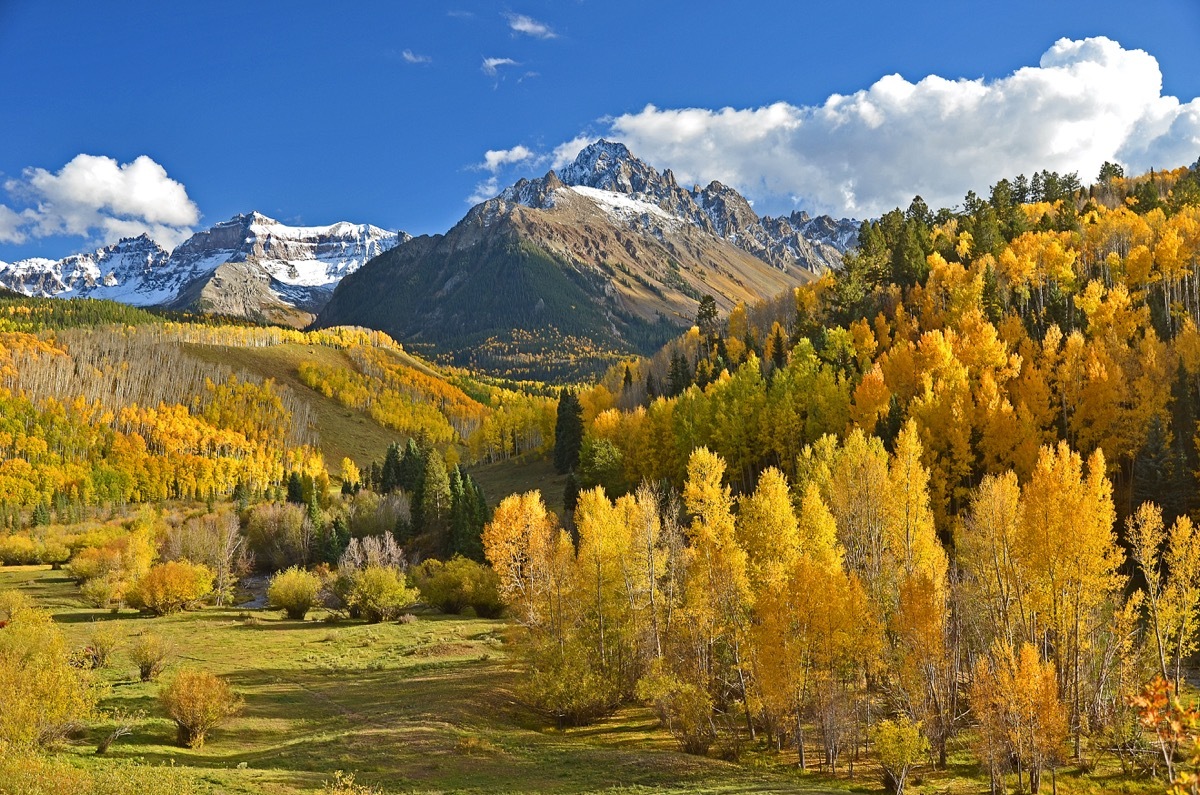 ridgway, colorado in fall