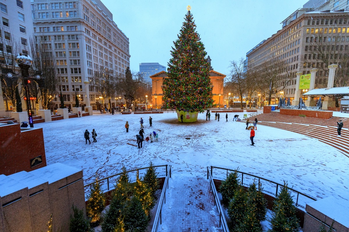 Portland Oregon State Christmas Tree