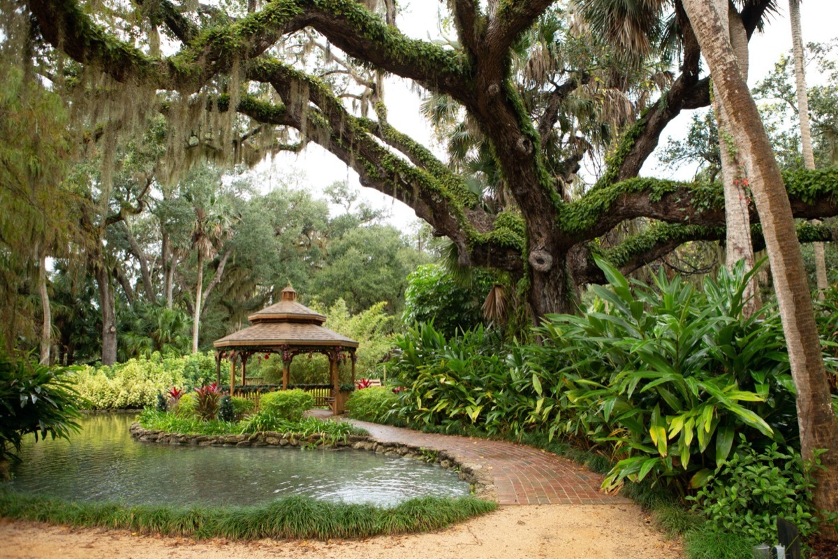 Washington Oaks Gardens State Park, Palm Coast, Florida, USA