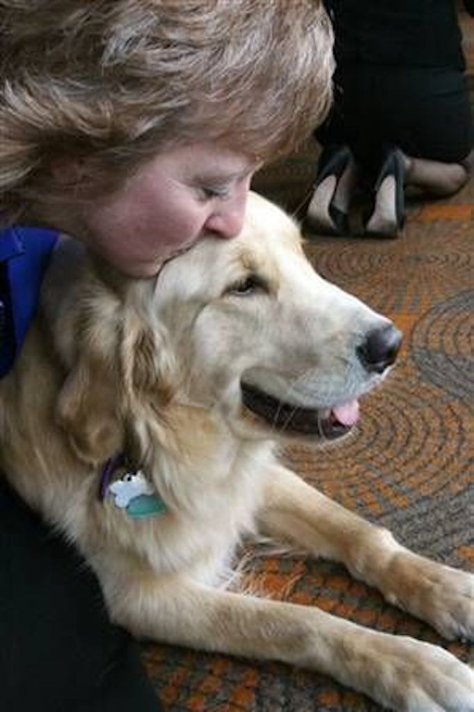 Toby Saves Owner Animals Who Are Real-Life Heroes