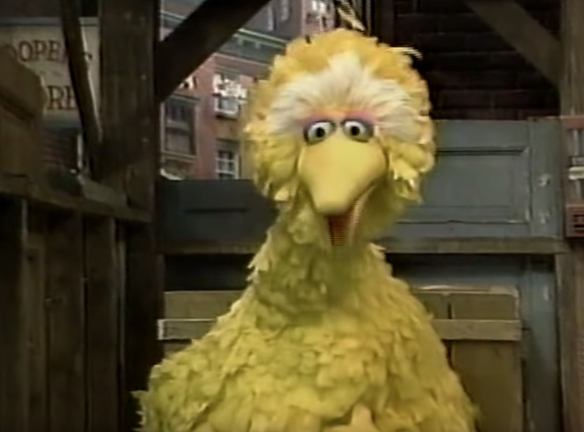 big bird the grouch