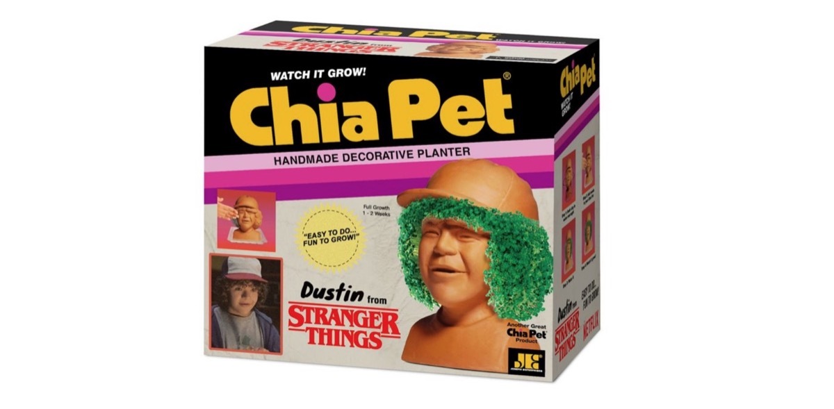 dustin stranger things chia pet, stranger things gifts