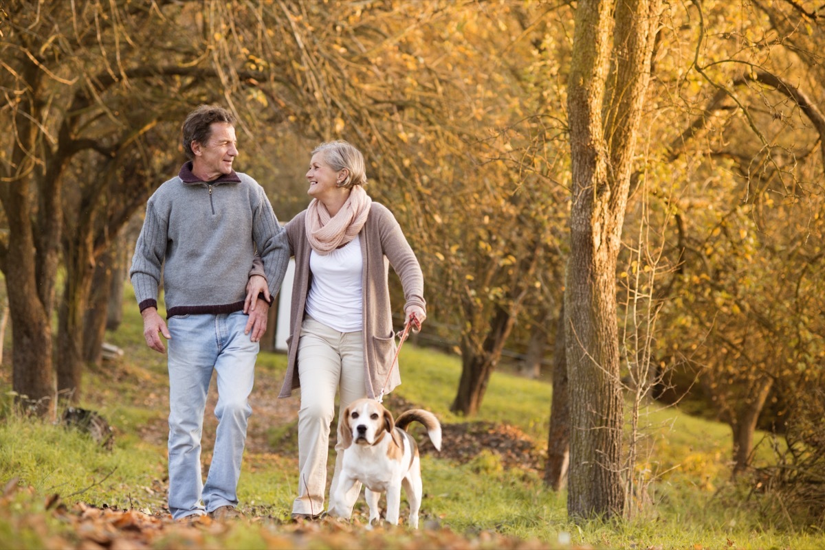 man and woman walking arm and arm with their dog in a park