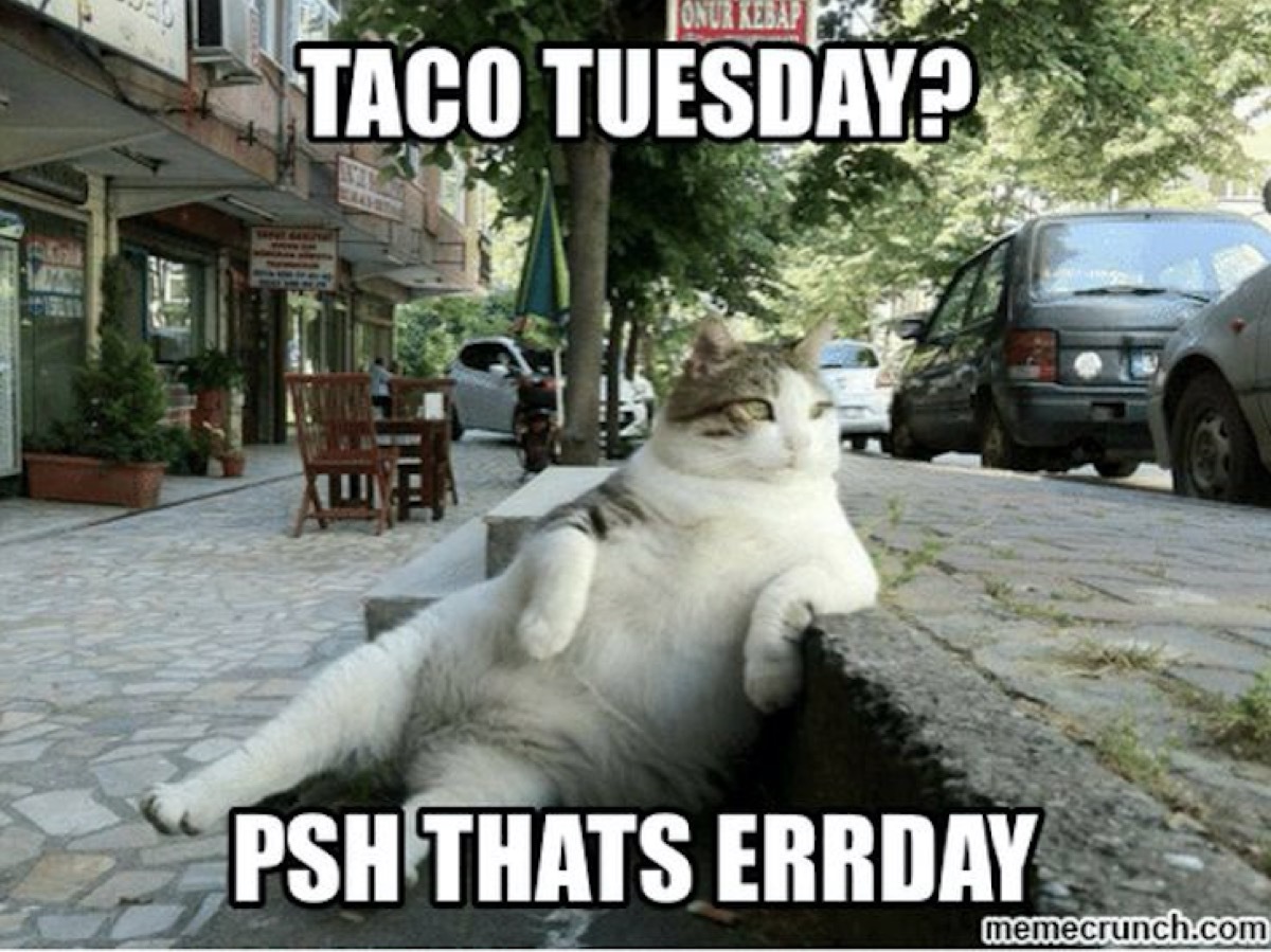 taco tuesday meme