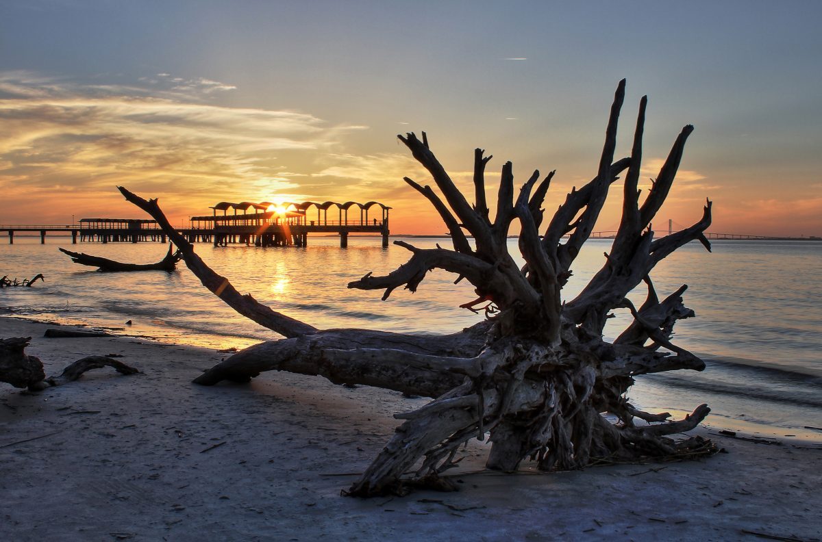 Fishing Pier from Driftwood Beach, Jekyll Island, Georgia.