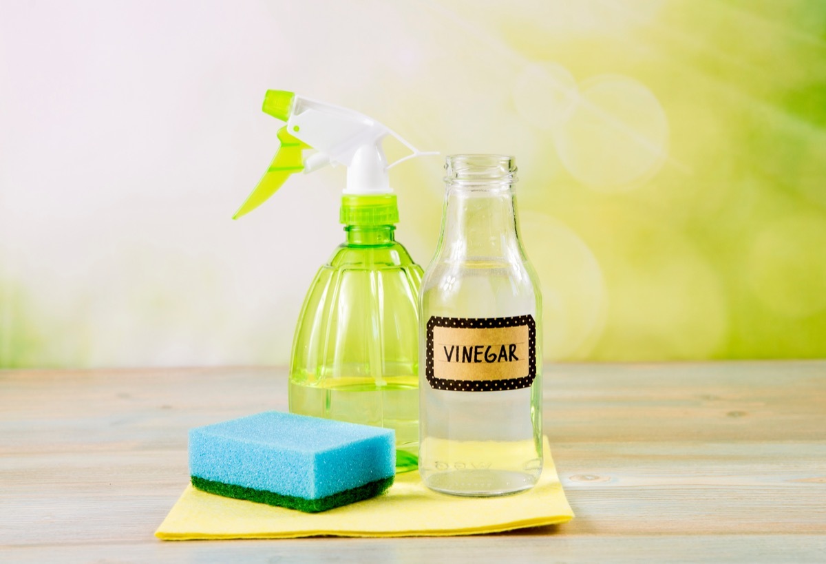 Vinegar cleaner