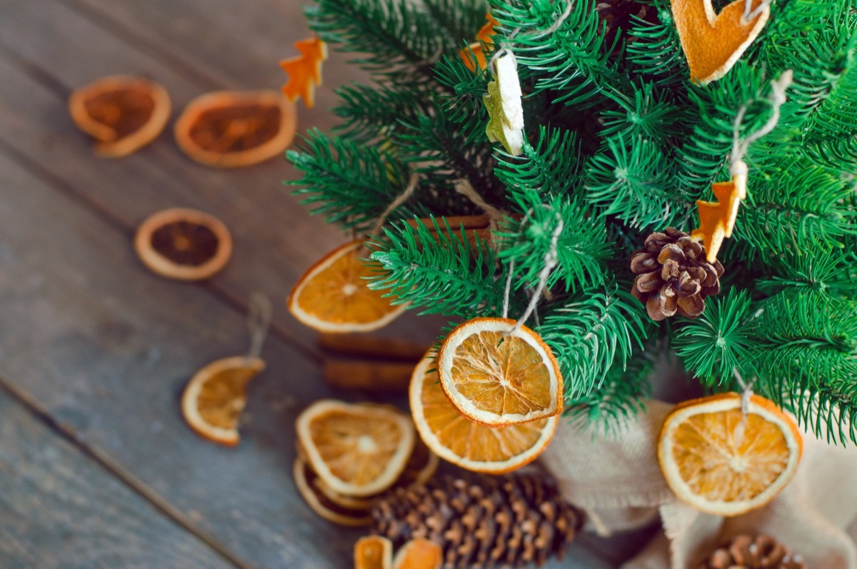 dried orange slices on christmas tree