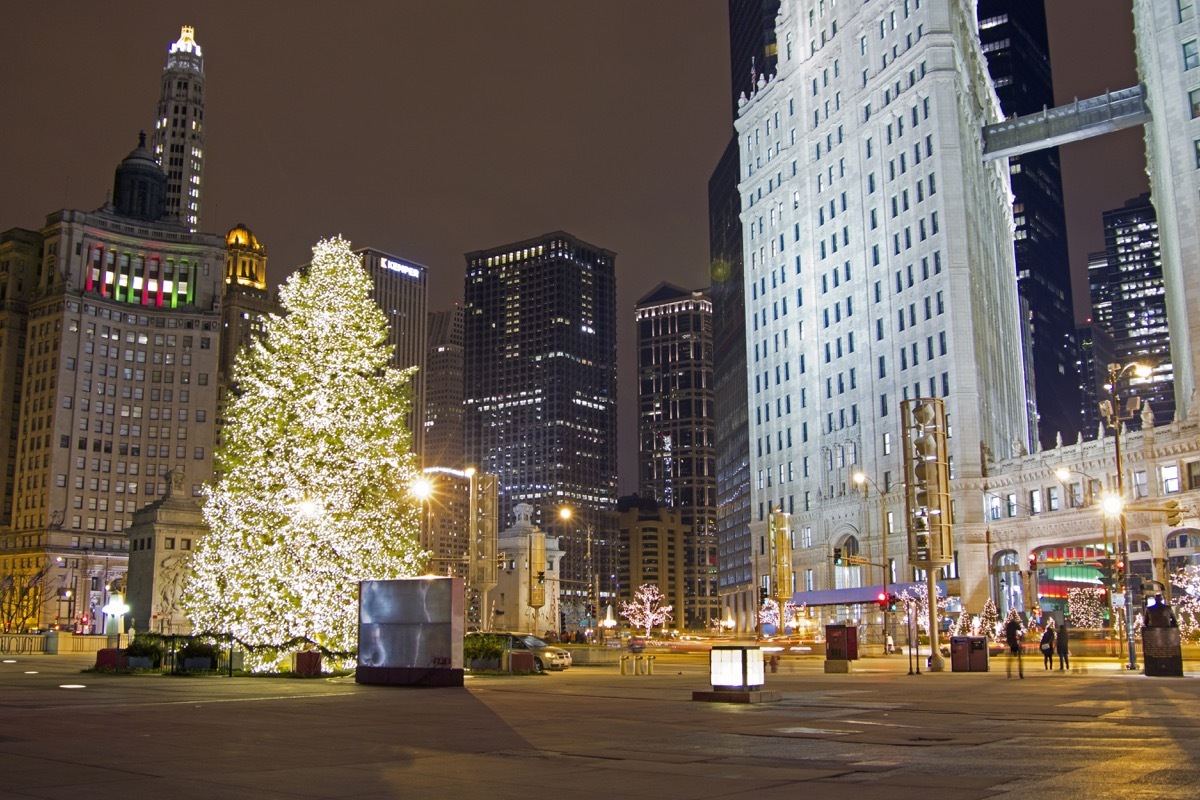 Chicago Illinois State Christmas Tree 