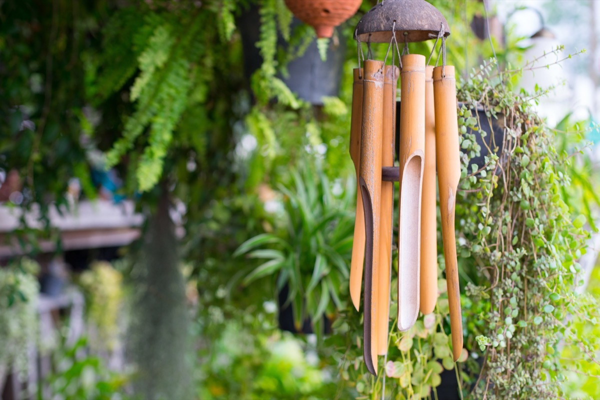 wind chimes in front yard