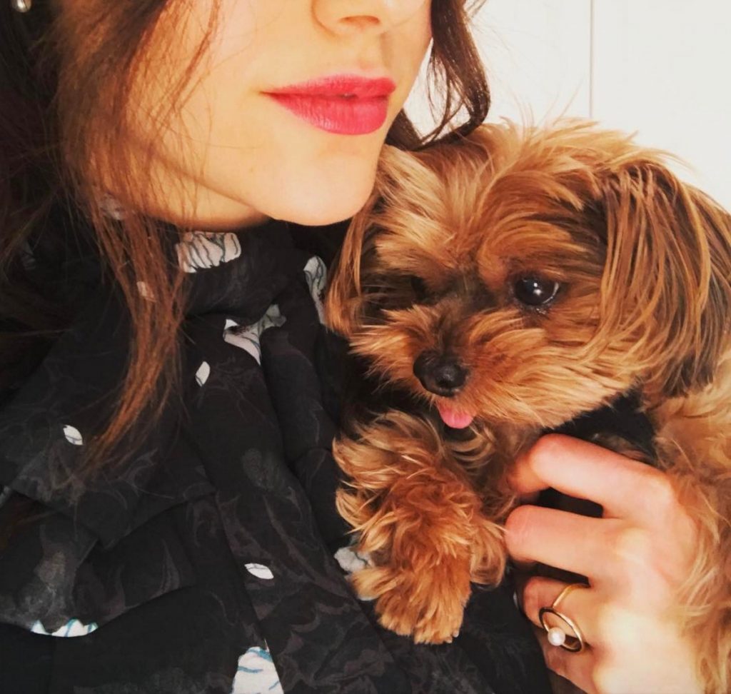 Emmy Rossum celebrities who look like their pets