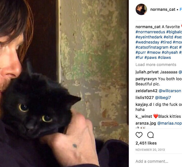 Norman Reedus Cat Eye in the Dark Celebrity Pets