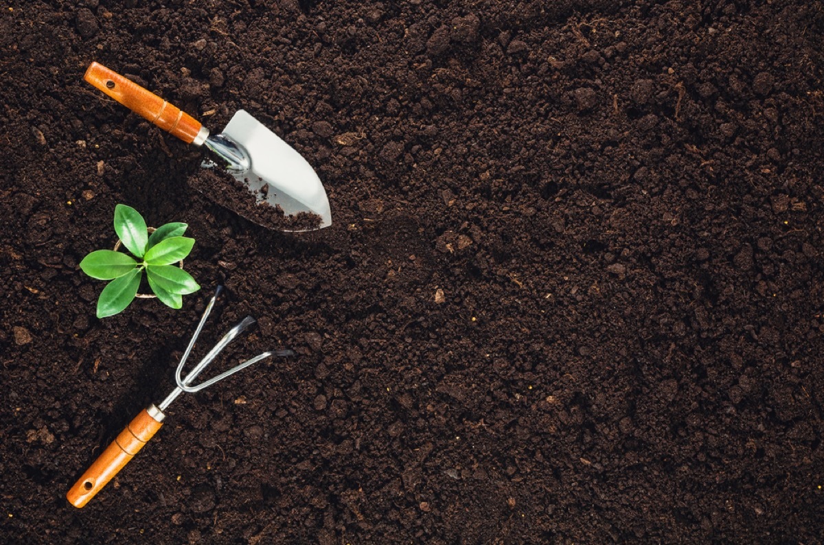 destroying your garden