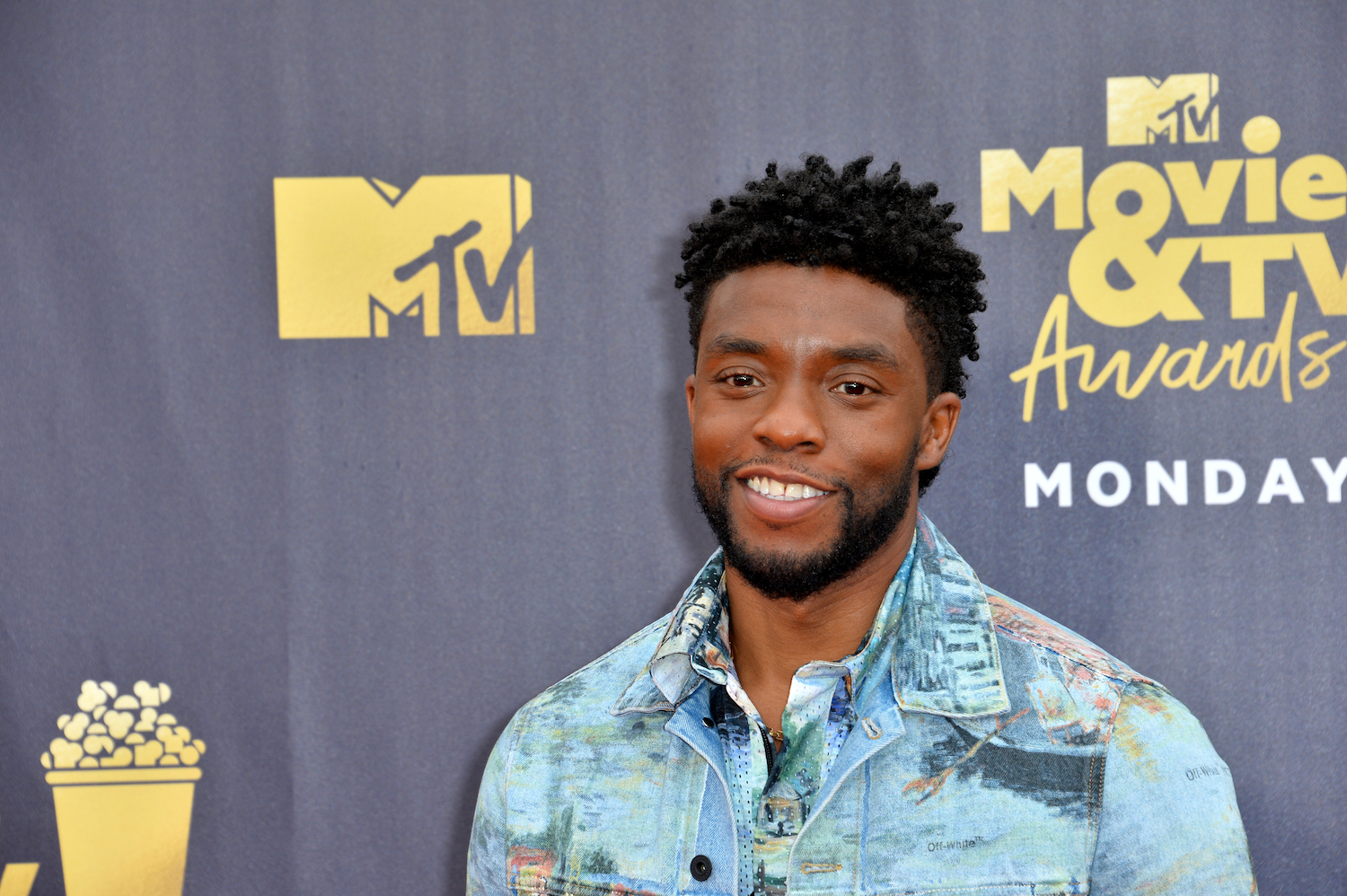 Chadwick Boseman at the 2018 MTV Movie & TV Awards