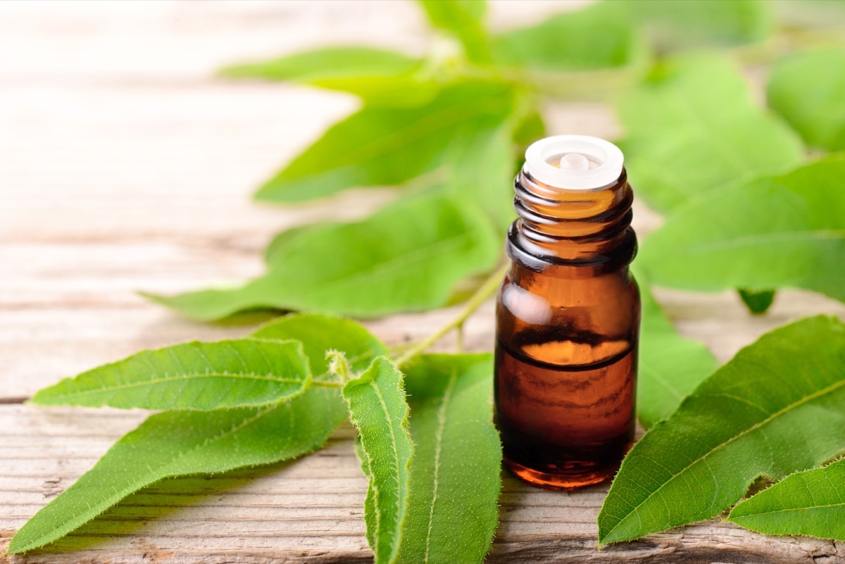 eucalyptus essential oil and fresh eucalyptus on the wooden board