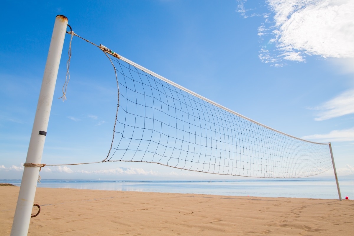 volleyball net