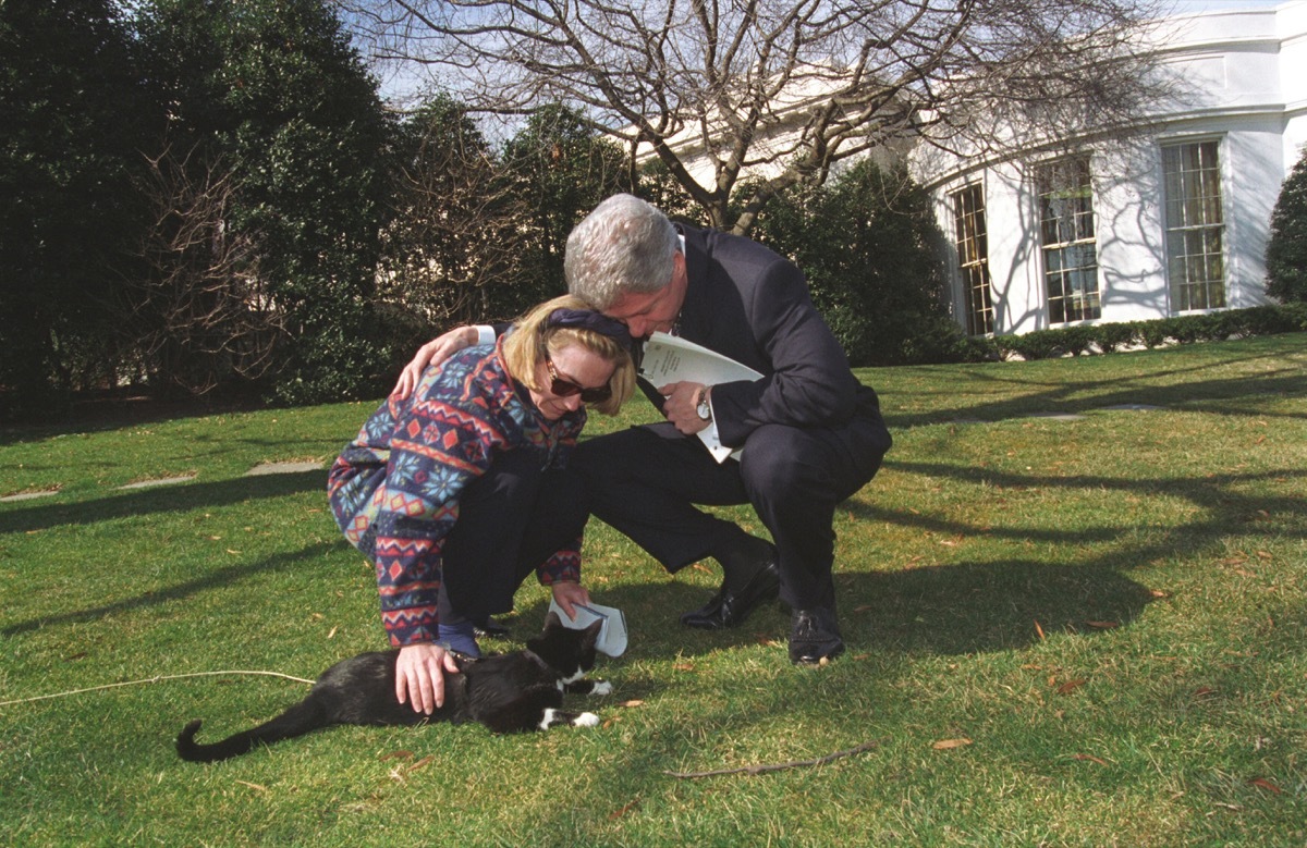 Clinton's cat Socks on White House lawn