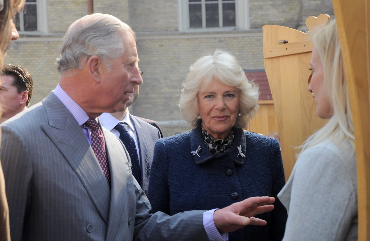 prince charles facts