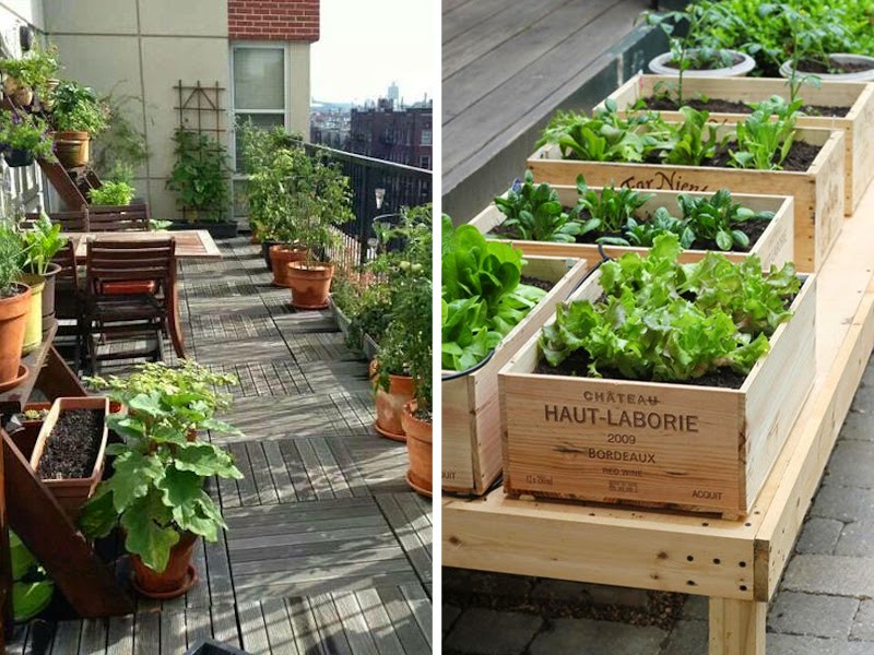 6. Balcony veggie garden