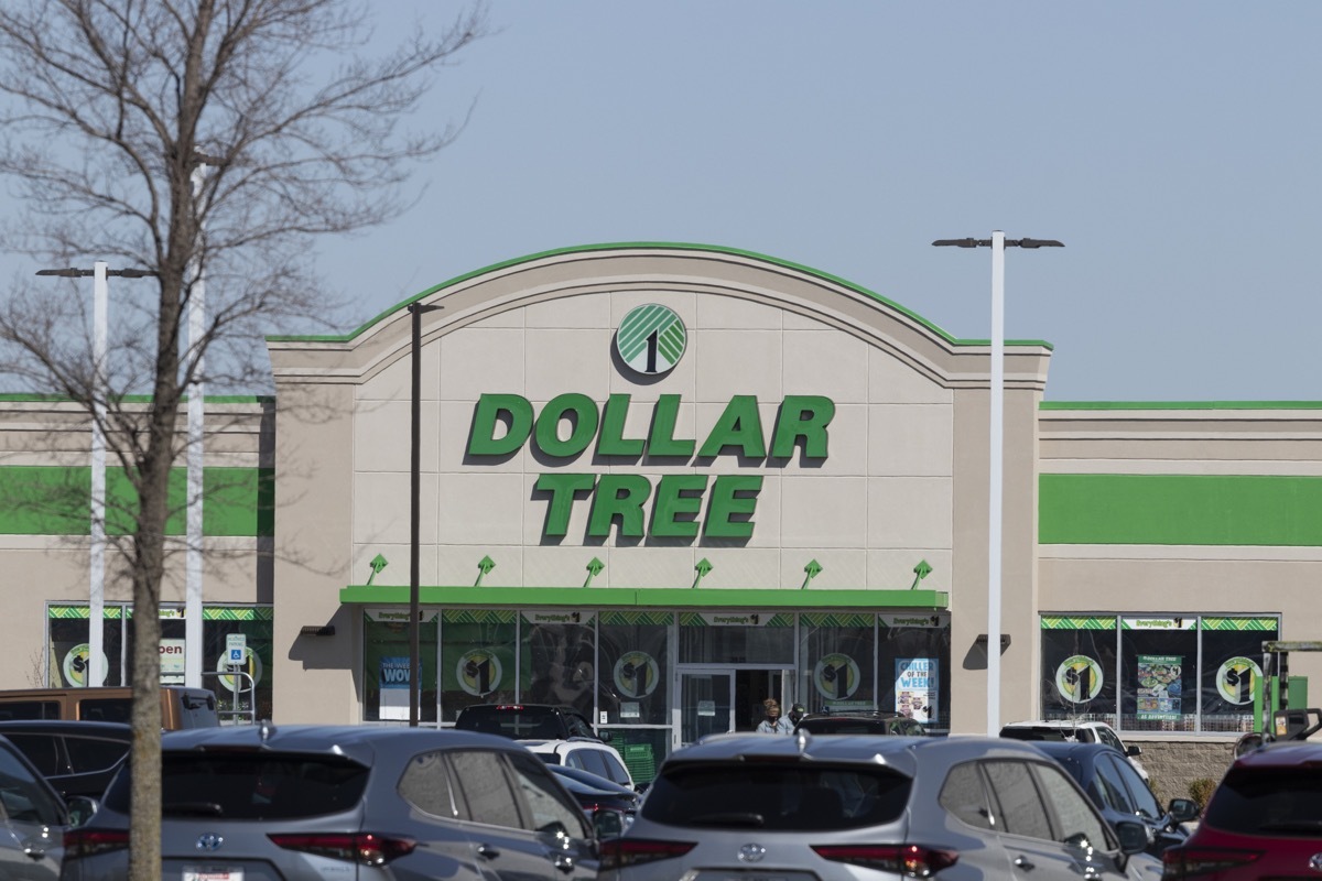 dollar tree store