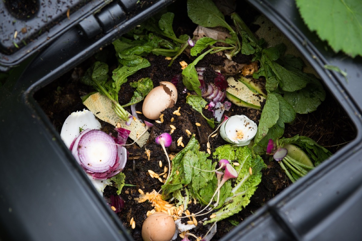 An open compost bin