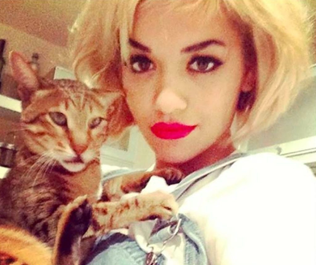 Rita Ora's cat