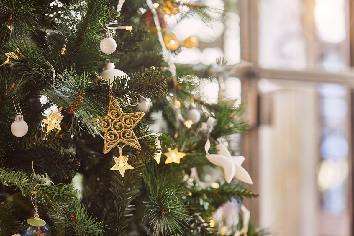 Detail of Christmas tree.