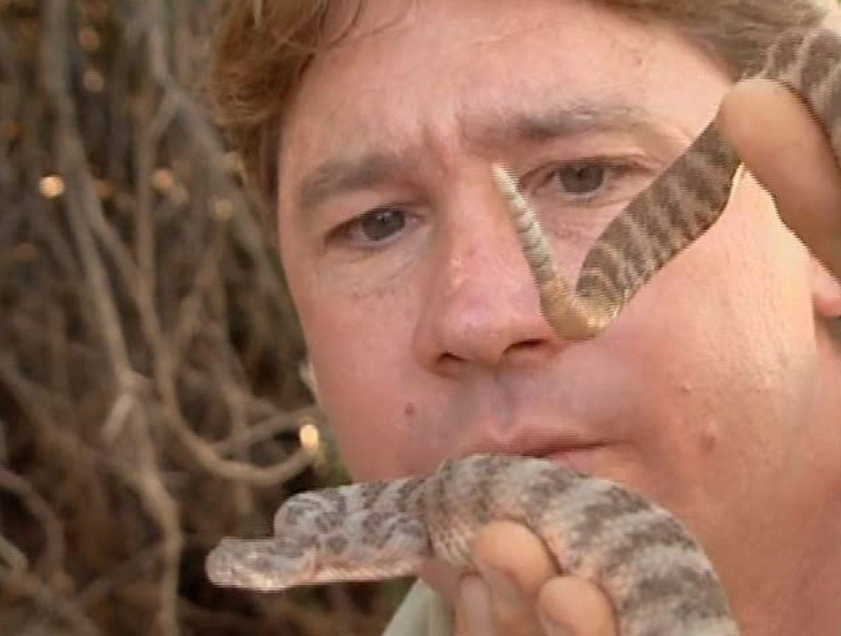 the crocodile hunter series