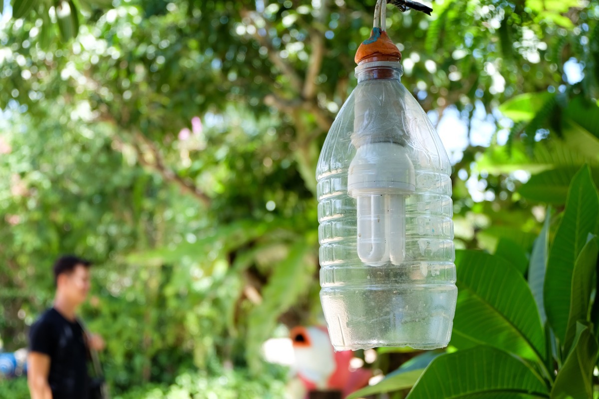 DIY outdoor light made out of a water bottle