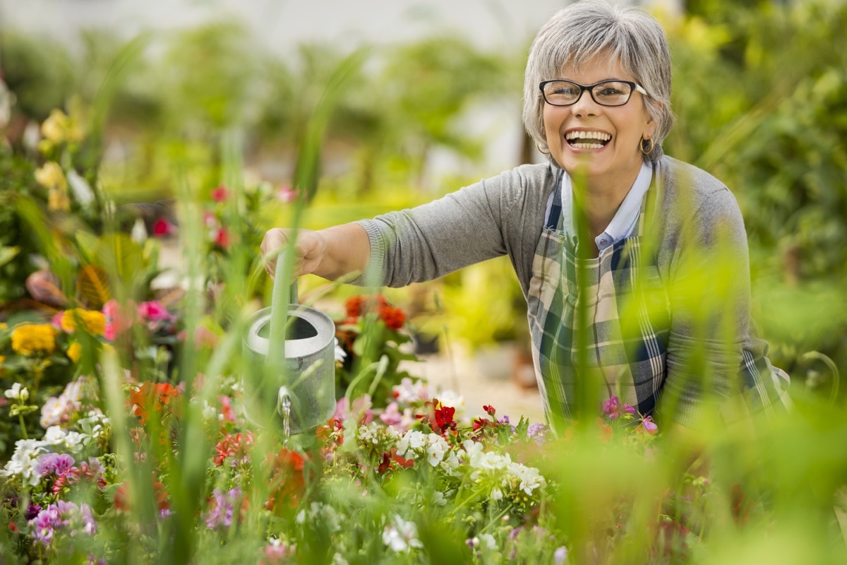 Older woman watering garden