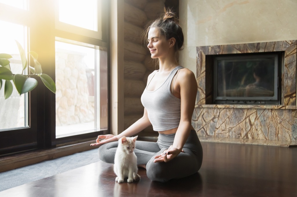 healthy cat and woman doing yoga meditation