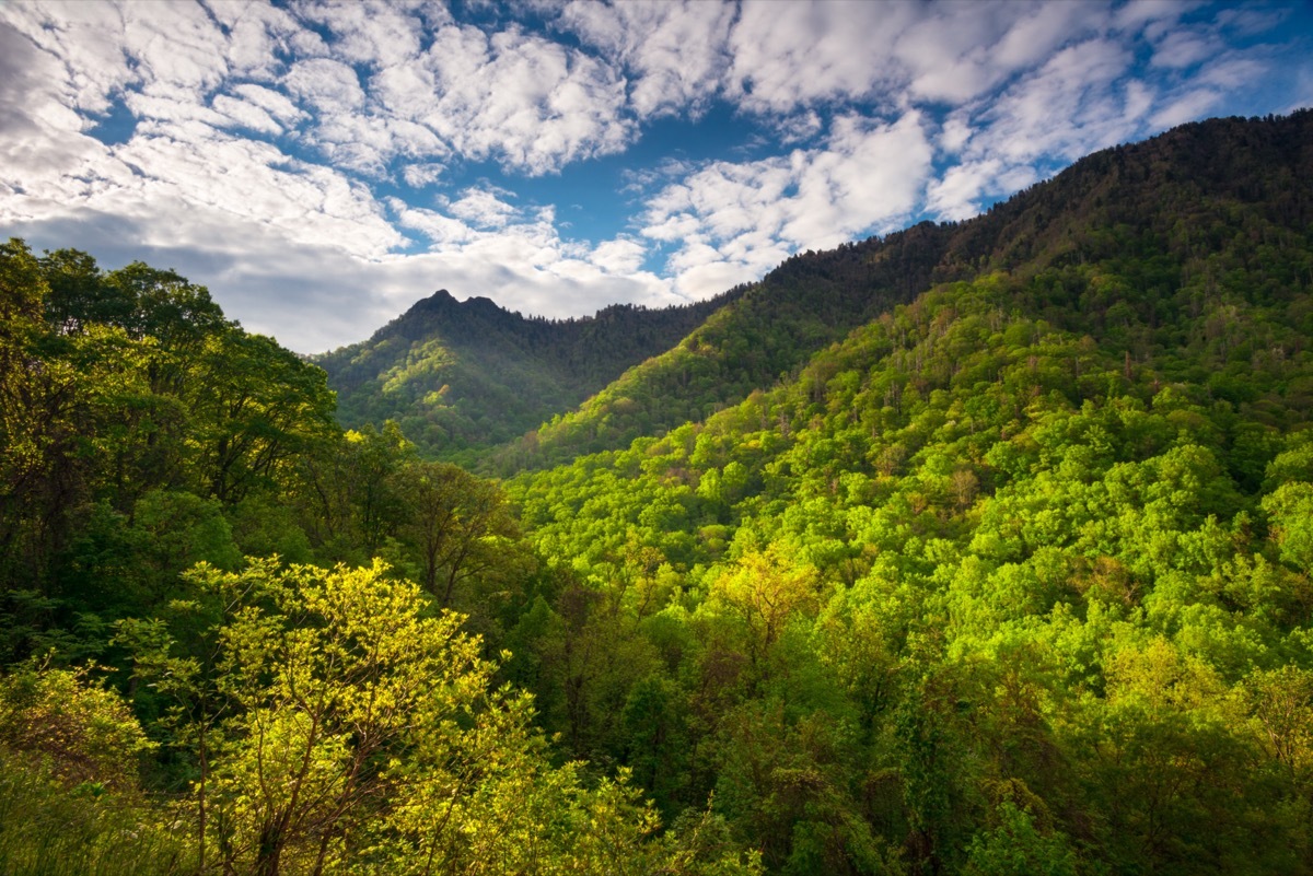 great smoky mountains national park