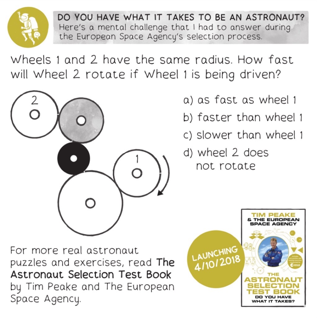 puzzle from Astronaut Selection Book 