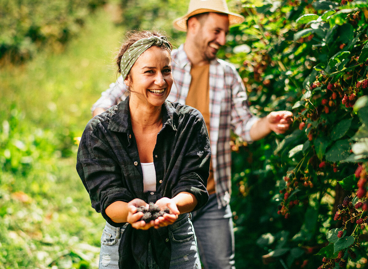 couple picking berries