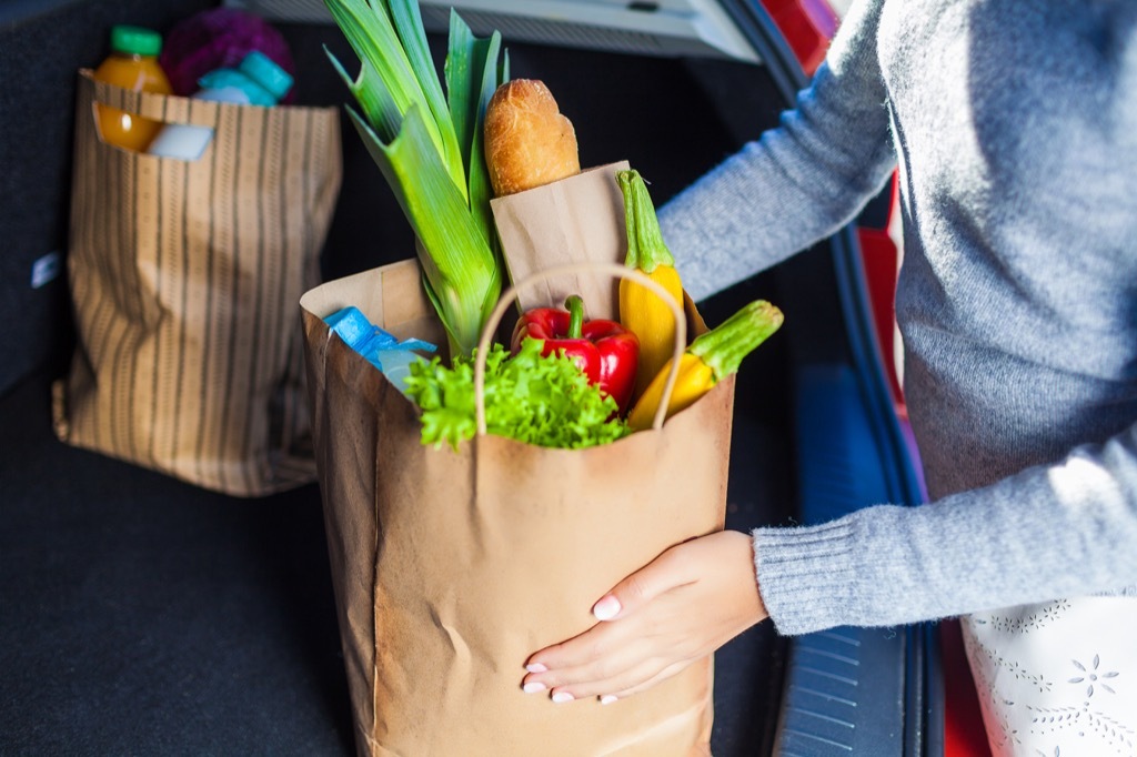 grocery bag in car